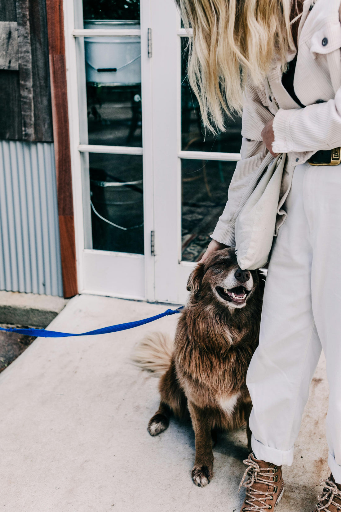 Your Dog's Walk Starts Before the Sidewalk